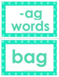 cvc word cards -ag words