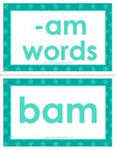 cvc word cards -am words