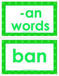 cvc word cards -an words
