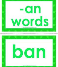 cvc word cards -an words