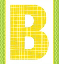 alphabet letter b - plaid and polka dot