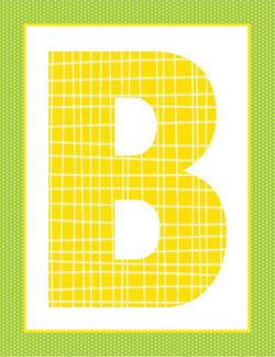 alphabet letter b - plaid and polka dot