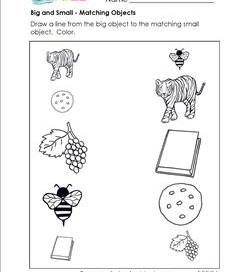 Big And Small Worksheets Kindergarten Sorting Worksheets