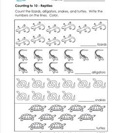 Counting to 10 - Reptiles