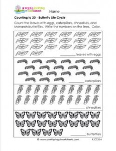 Counting to 20 - Butterfly Life Cycle