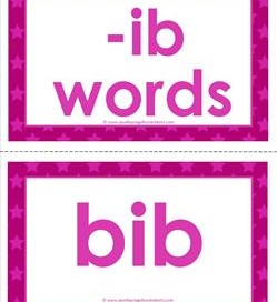 cvc word cards -ib words