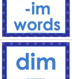 cvc word cards -im words