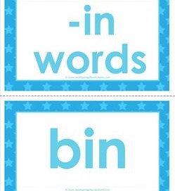 cvc word cards -in words