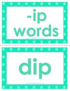 cvc word cards -ip words