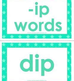 cvc word cards -ip words