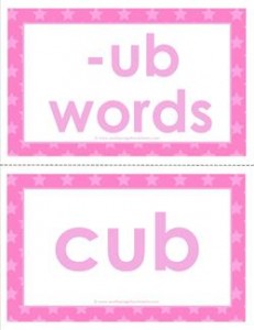 cvc word cards -ub words