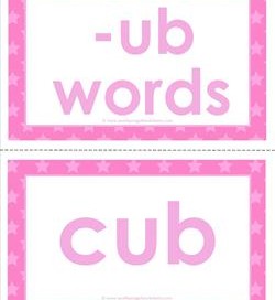 cvc word cards -ub words