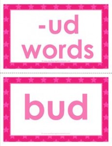 cvc word cards -ud words
