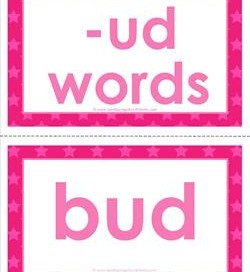 cvc word cards -ud words
