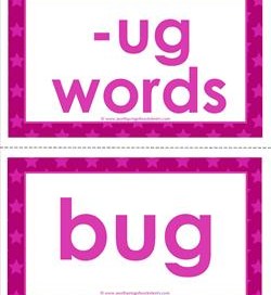 cvc word cards -ug words