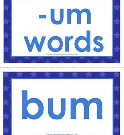 cvc word cards -um words