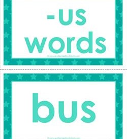 cvc word cards -us words