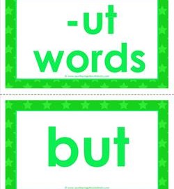 cvc word cards -ut words