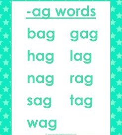 cvc words list -ag words