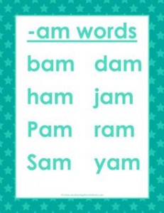 cvc words list -am words