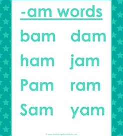 cvc words list -am words