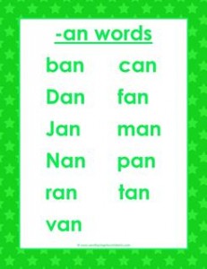 cvc words list -an words