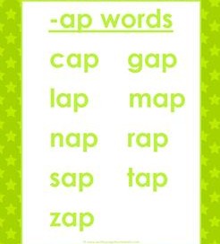 cvc words list -ap words