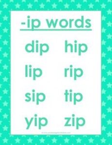 cvc words list -ip words