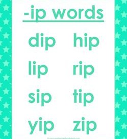 cvc words list -ip words