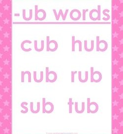cvc words list -ub words
