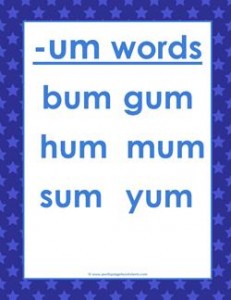 cvc words list -um words