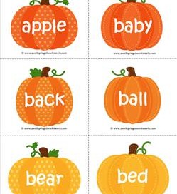 fall dolch sight word flashcards nouns