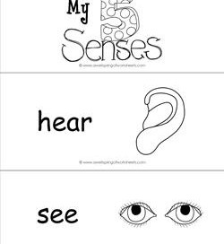 five senses vocabulary cards - b&w