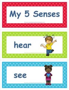 five senses vocabulary cards - children