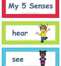 five senses vocabulary cards - children
