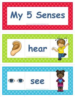 five senses vocabulary cards - matching pieces