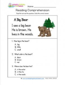 Kindergarten Reading Comprehension - A Big Bear. Three multiple choice reading comprehension questions.