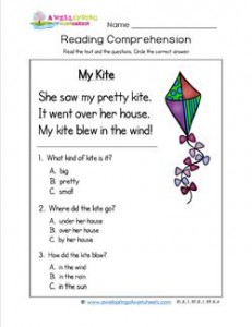 Kindergarten Reading Comprehension - My Kite. Three multiple choice reading comprehension questions.