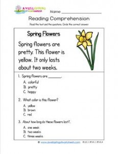 Kindergarten Reading Comprehension - Spring Flowers. Three multiple choice reading comprehension questions.