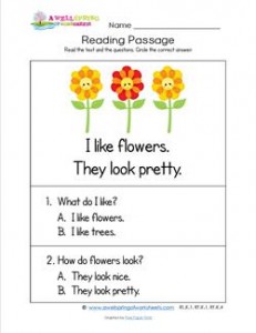 Kindergarten Reading Passages - Flowers. A Kindergarten Reading Comprehension Worksheet.