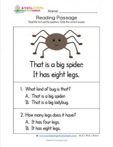 Kindergarten Reading Passages - Spider