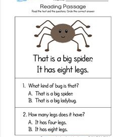 Kindergarten Reading Passages - Spider