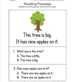 Kindergarten Reading Passages - Tree
