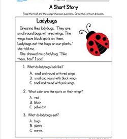 Kindergarten Short Stories - Ladybugs