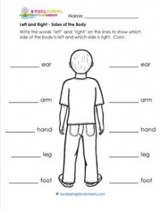 Left and Right - Sides of the Body - Position Words