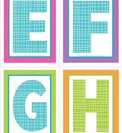 medium alphabet letters - plaid and polka dot - EFGH