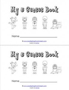 my five senses book - children