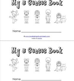 my five senses book - children