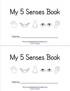 my five senses book - senses