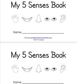 my five senses book - senses